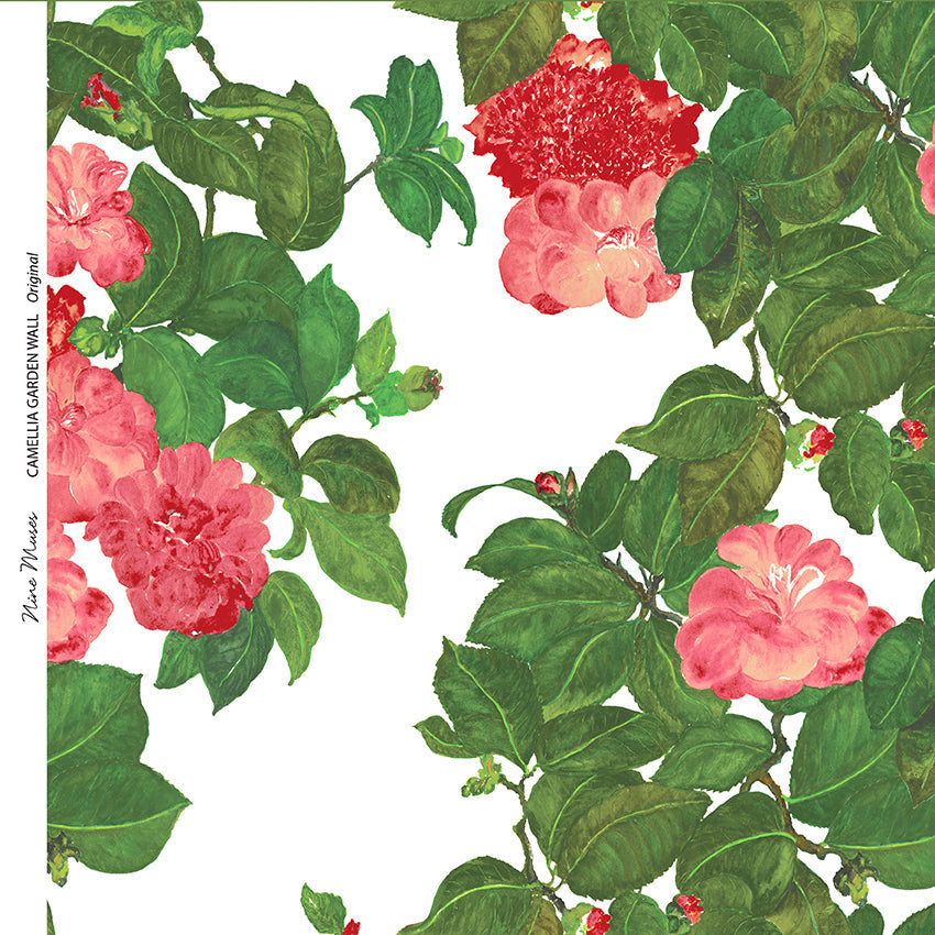 Camellia Walled Garden SP