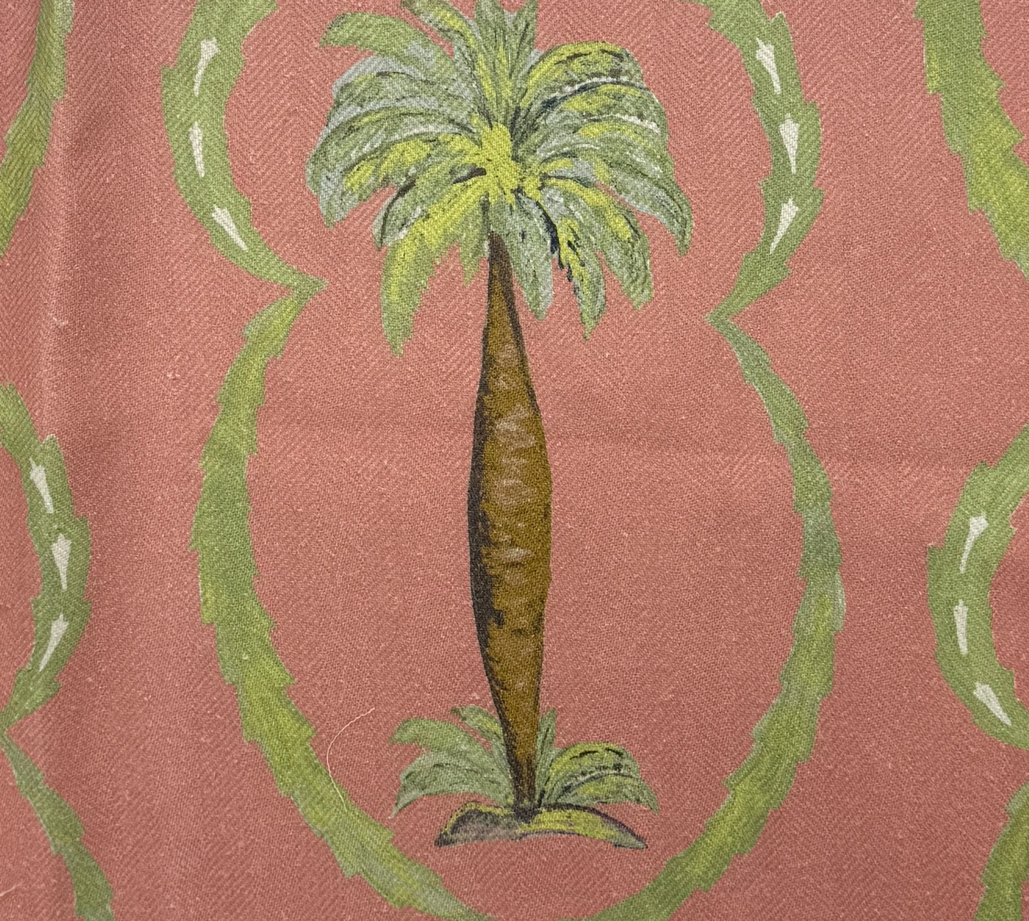 Bismarck Palm