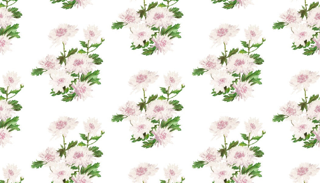 Chrysanthemum