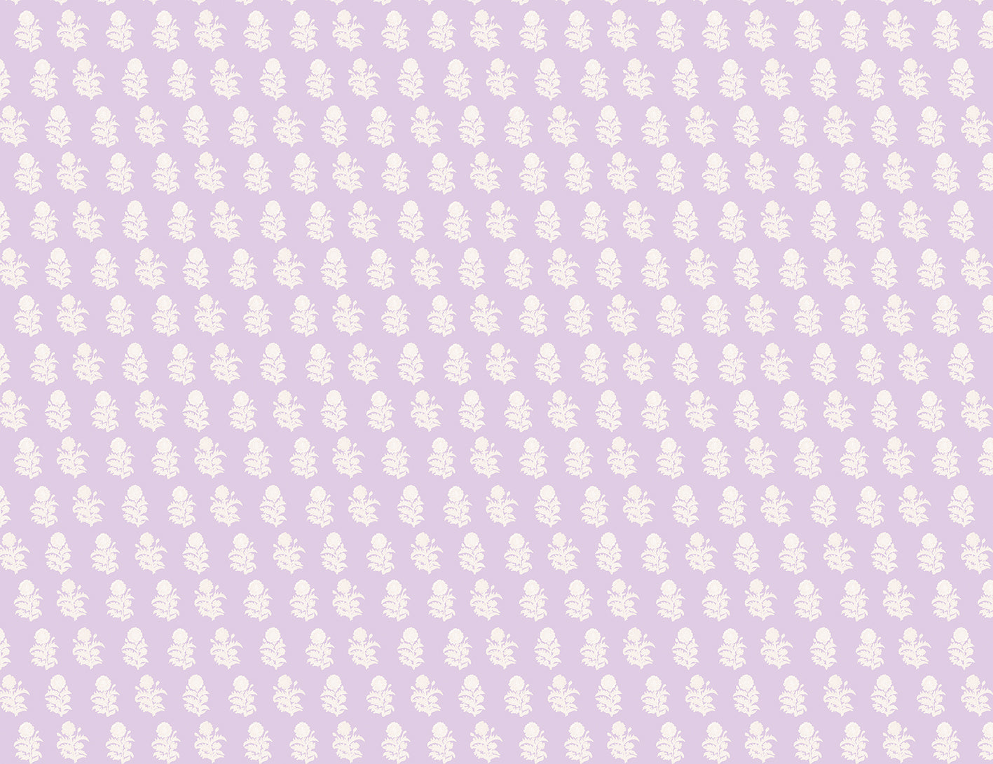 Butea Lilac Remnant