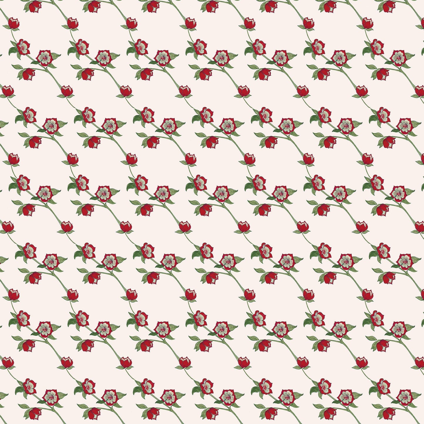Belle Fleur SP