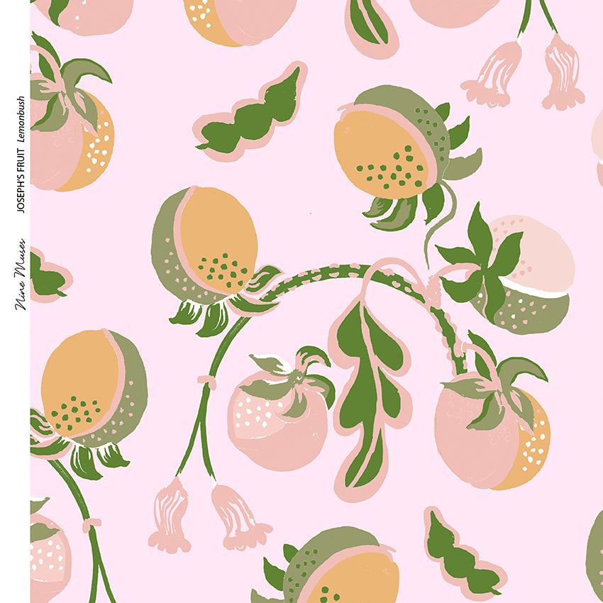 Joseph’s Fruit