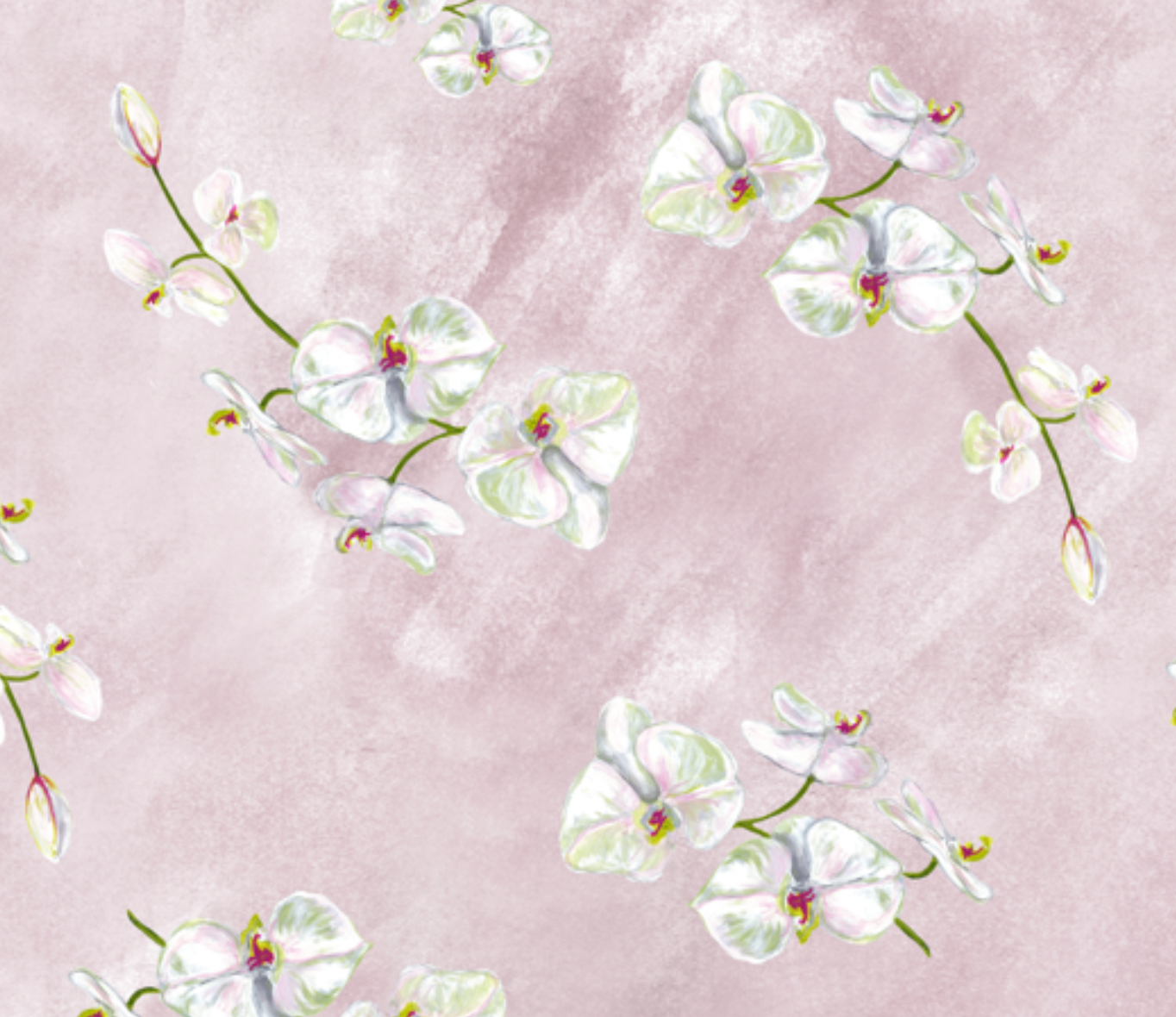 Orchid SP