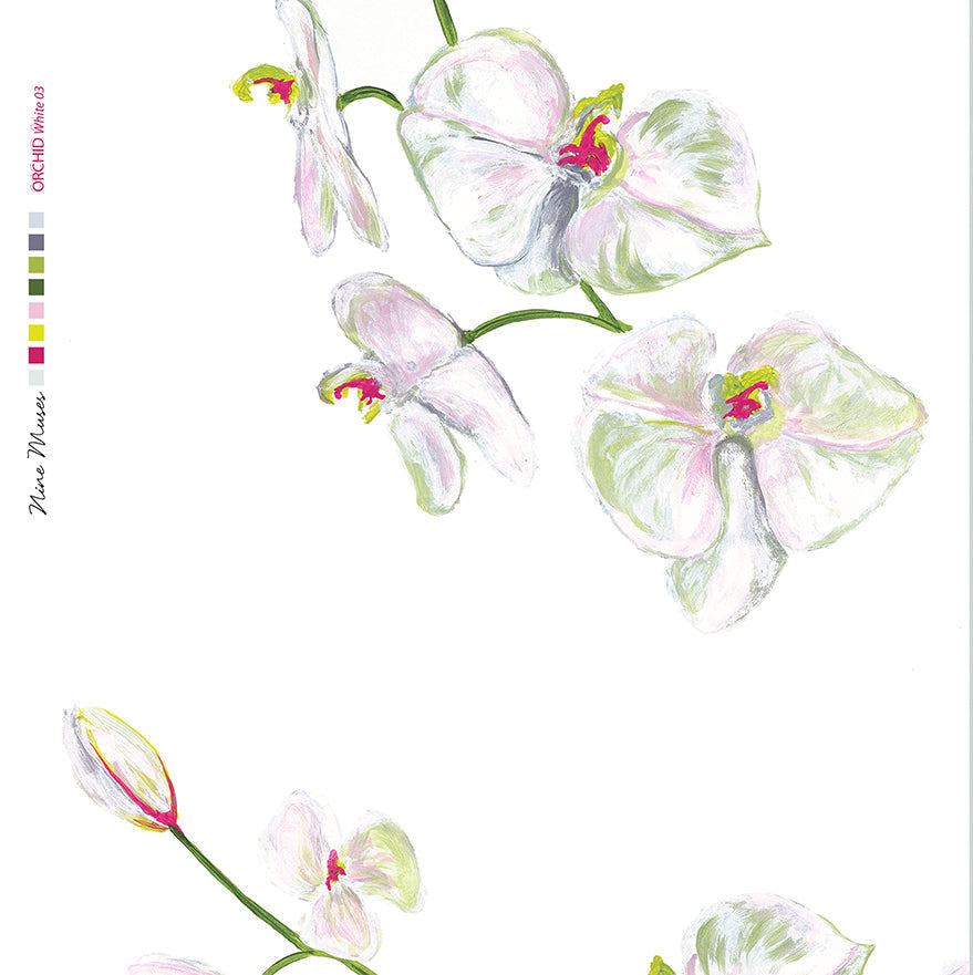 Orchid SP